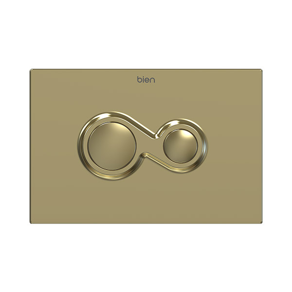Buton Gold Painted Dual Flush