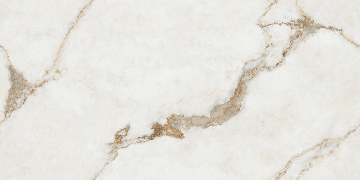 Керамогранит DT-1002 Polished 60x120cm Domingo Tiles Индия