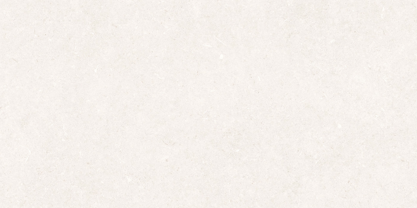 Керамогранит Kora White 60x120cm Matt Ecoceramic Испания