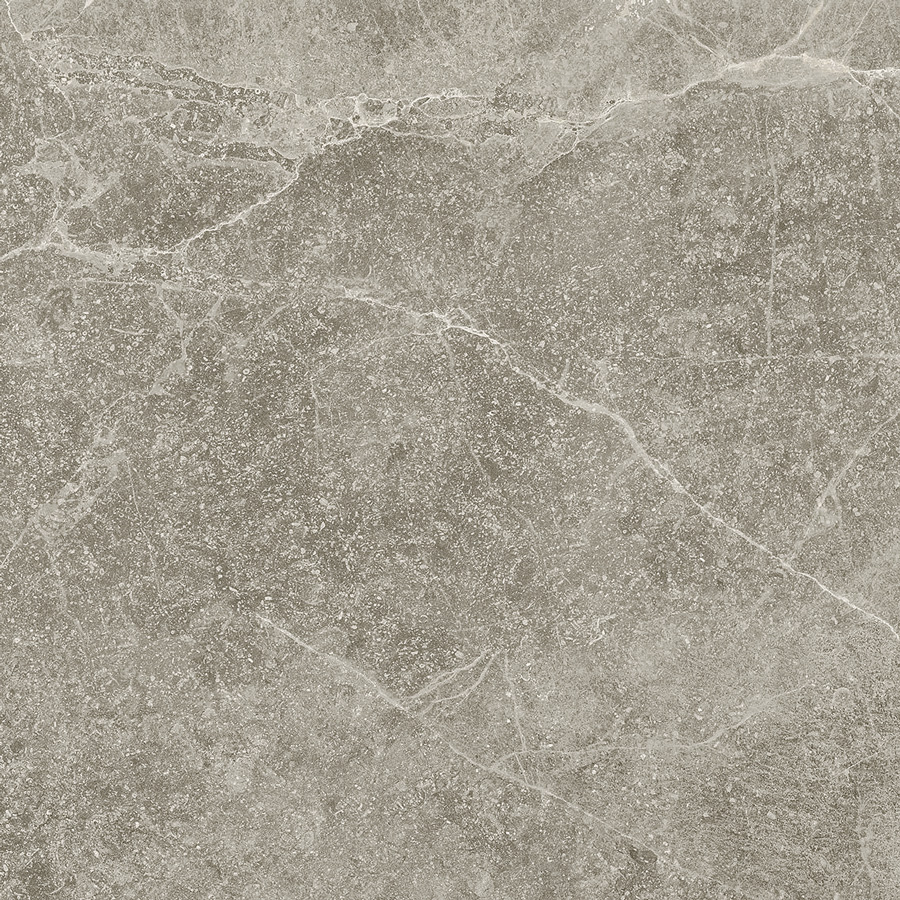 Керамогранит Grey Stone 60x60cm 8mm Golden Tile  Украина