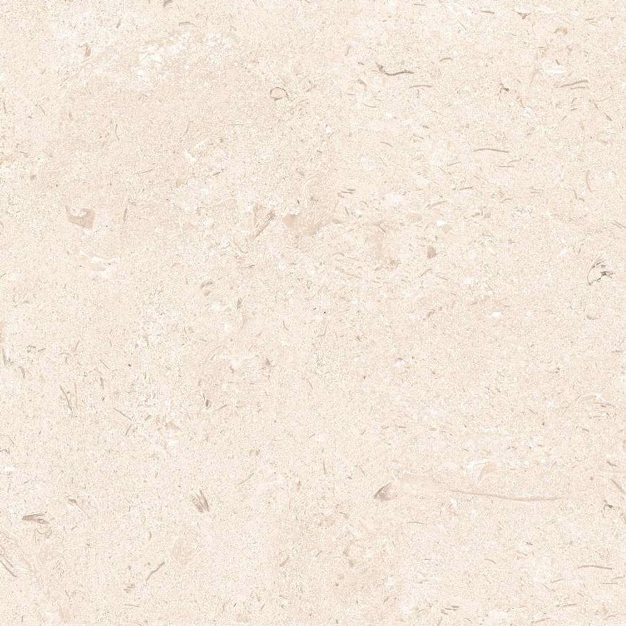 Gresie Port. Shell Stone 60*60*2 cm Rec-11 1с 23,04m2