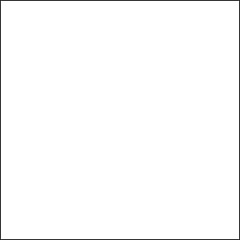Керамогранит Superwhite 60x60cm Intergres Украина