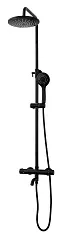 Душевые стойки BS03 Black shower cab Китай